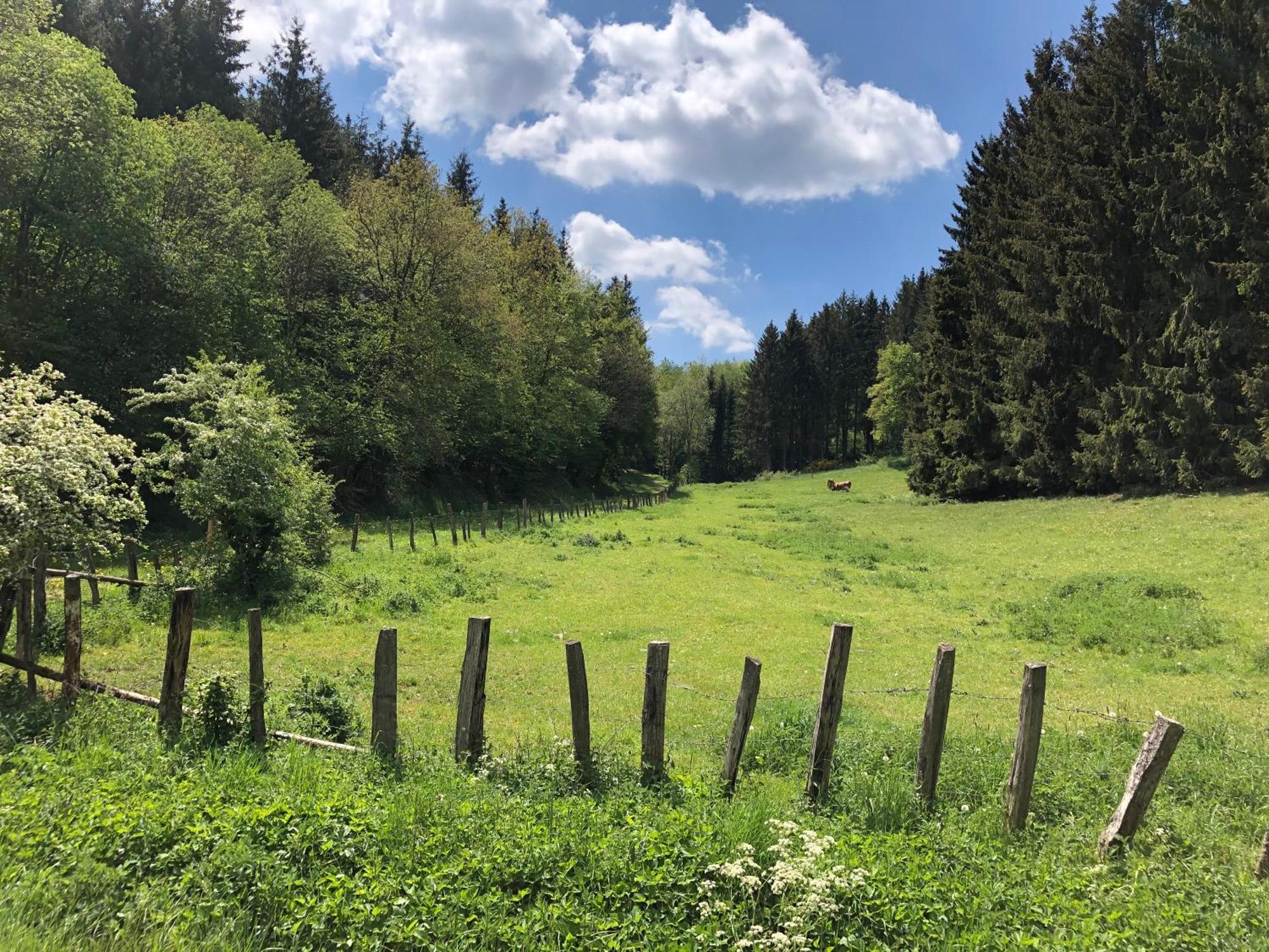 Holzhaus Onkel Fritz Mit Sauna Und Whirlwanne Esch  Exteriér fotografie